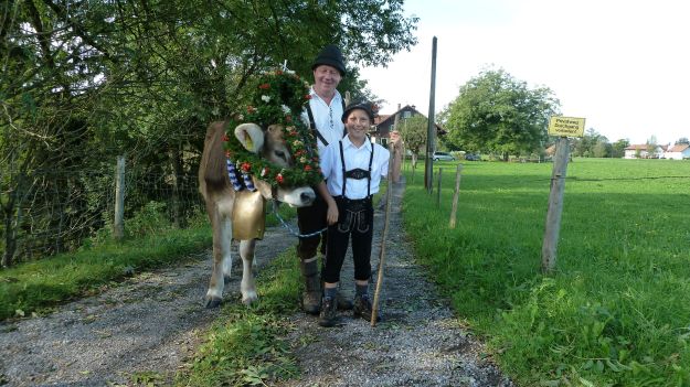 Viehscheid-Maierhoefen, decorated cow with owner and son