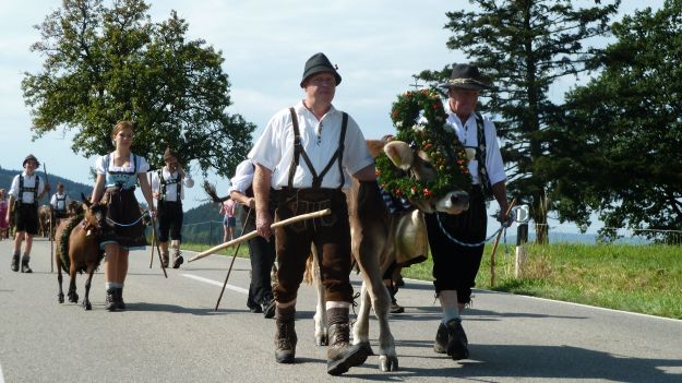 Viehscheid-Maierhöfen 2001 a goat is joining 