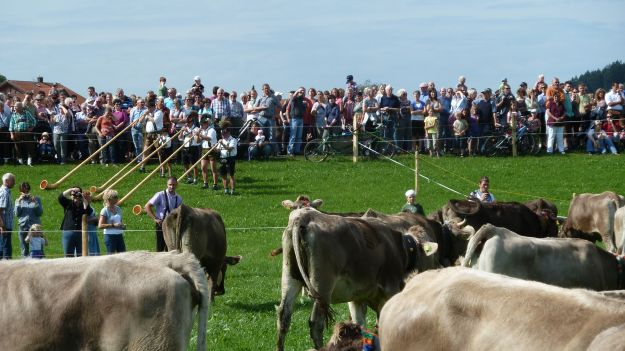 at the seidplatz with alphorn players
