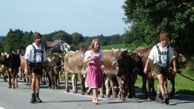 Viehscheid-Maierhöfen nice dirndl going barfoot