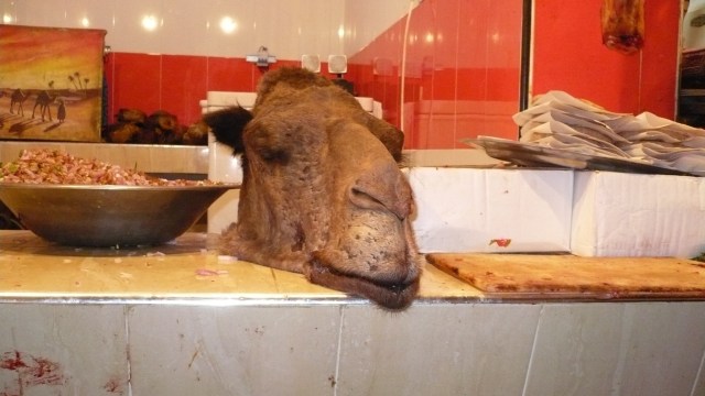 camel head in a moroccan butcher stall