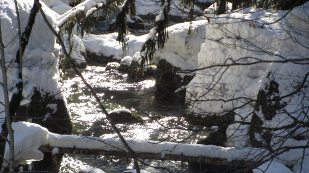 alpine skiing in the bregenzer wald frozen river