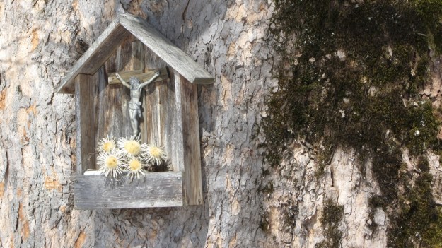 ski touring in the bregenzer wald - old tree with jesus 