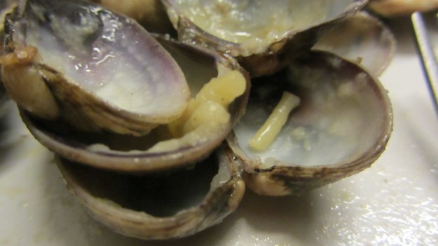 salone 2012 milano vongole