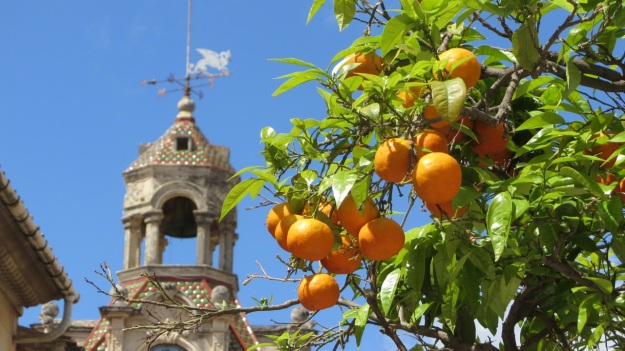 best of mallorca - orange tree with clocktower