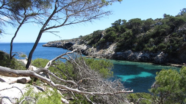 best of mallorca - lonely bay with cristal clear water