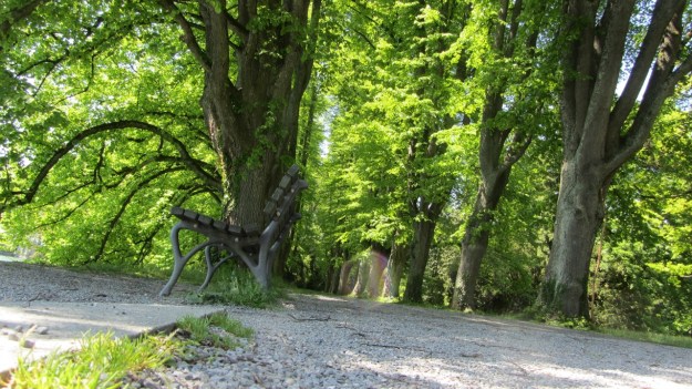 lindau bad schachen stroll - lindenhof park allee