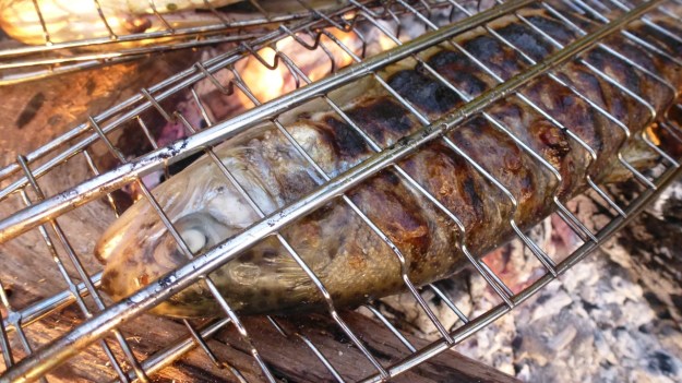 bbq at the lake & Unertl beer! fish on the fire