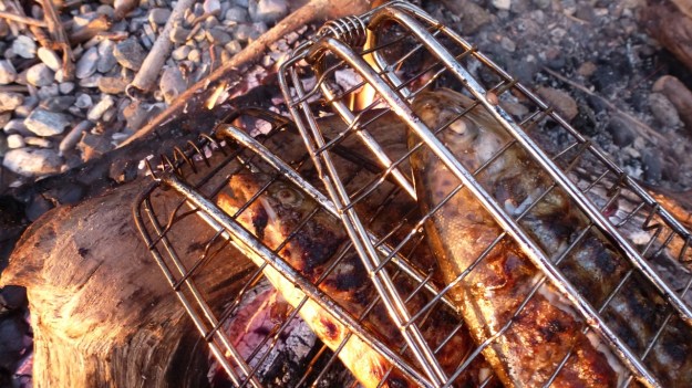 bbq at the lake & Unertl beer! fish on the fire