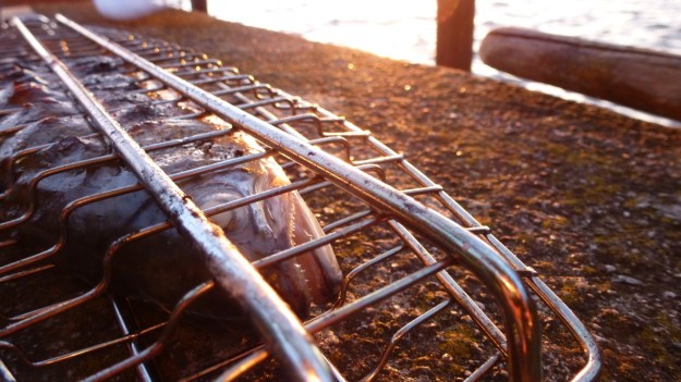 bbq at the lake & Unertl beer! fish on the fire