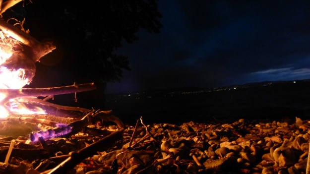 bbq at the lake & Unertl beer! Fire and beach