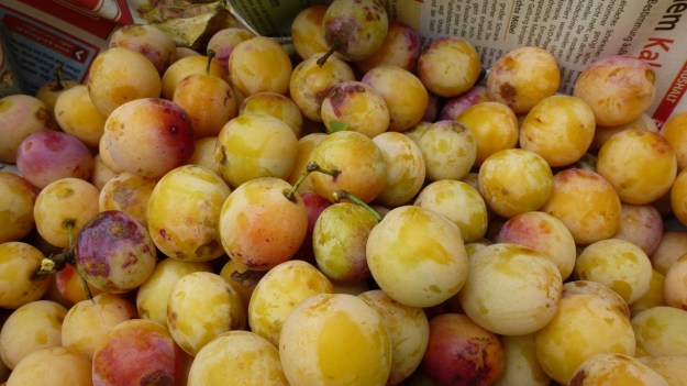 Sunday cake - Marillenkuchen mit Schlagsahne - the picked yellow plums
