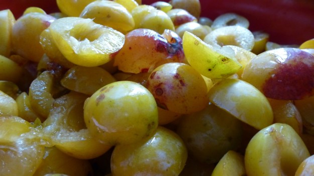 Sunday cake - Marillenkuchen mit Schlagsahne - the picked yellow plums without the seed