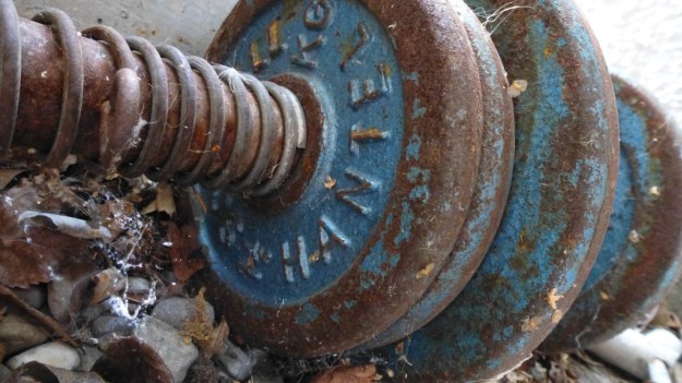 undusting my homegym - spiderwebbed weights