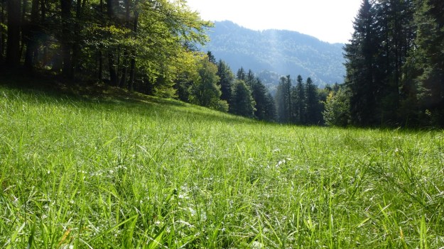 Andelsbuch Paragliding Austria Vorarlberg 21