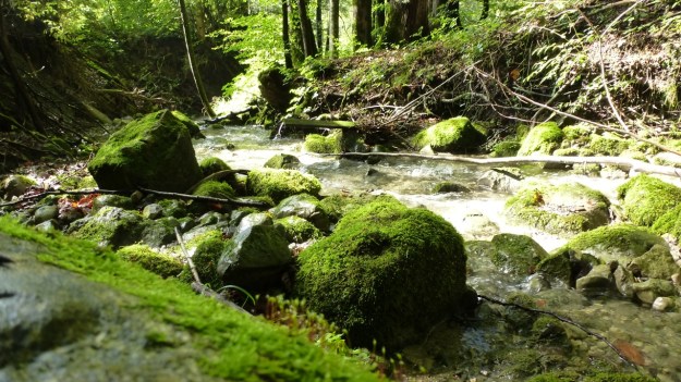 Andelsbuch Paragliding Austria Vorarlberg river