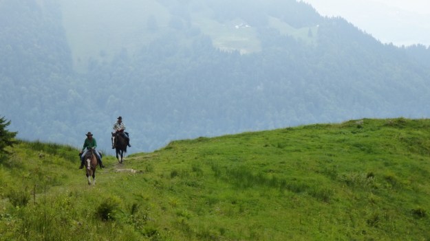 hiking to the mörzelspitze in austria vorarlberg07 western horses