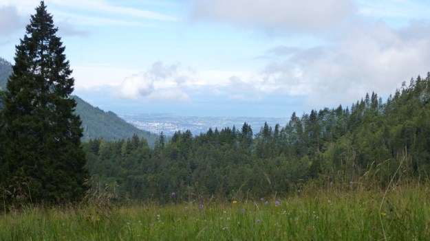 hiking to the mörzelspitze in austria vorarlberg09 meadow