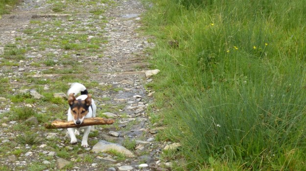 hiking to the mörzelspitze in austria vorarlberg10 paul with a stick