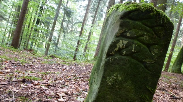 old territory stone in the forrest