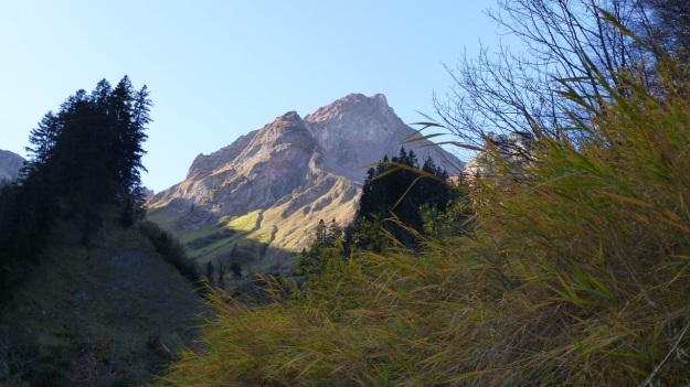 Biberacher Hütte - Schröcken hiking autumn grass and mountain