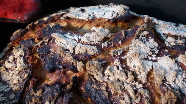 Sunday morning coffee, a fresh bread and pfote morning class - breadcrust ryebread