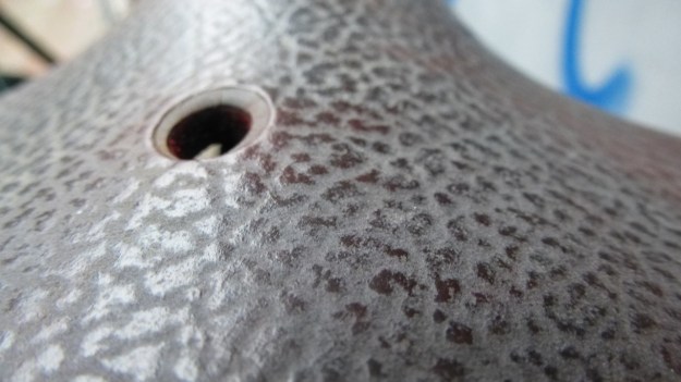 used Brooks leather saddles