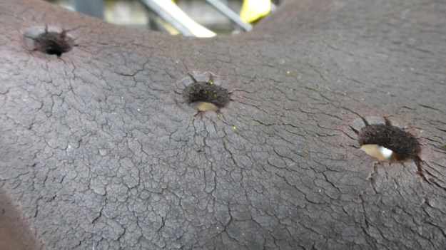 used Brooks leather saddles