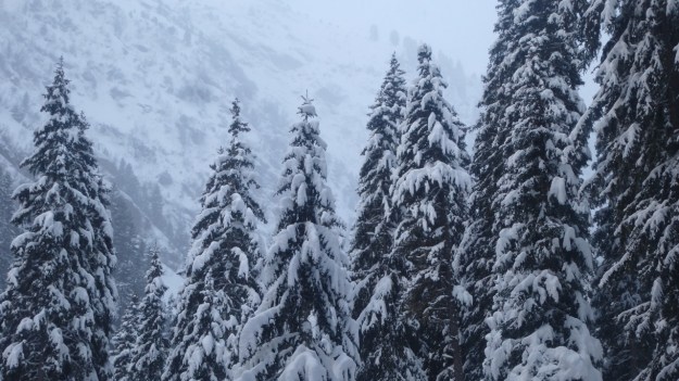 St. Anton - Heilbronner Hütte snoeshoe trip
