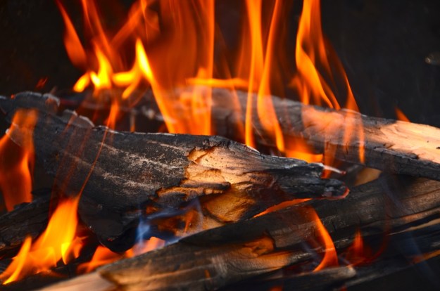 rib eye and waffles barbecue