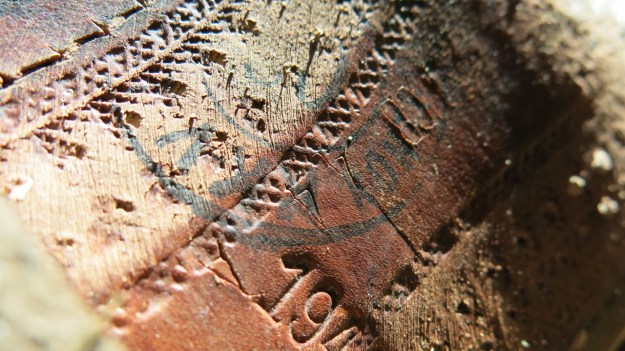 boots soles stitches leatherstructure03