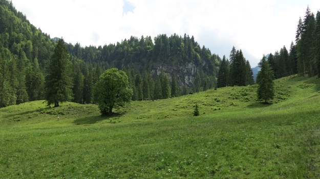 Hiking Sibratsgfäll Austria Alm Sennerei02