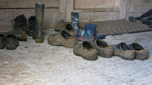 Hiking Sibratsgfäll Austria Alm Sennerei14