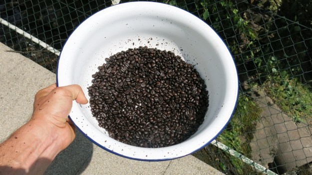 home roasted coffee beans1