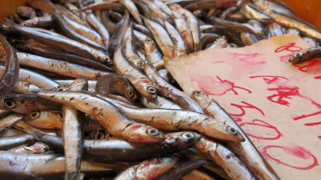 italy amalfi coast 10