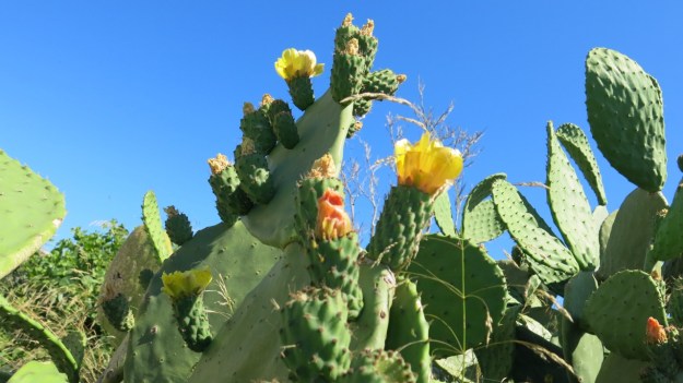 italy amalfi coast 16
