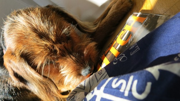 clutch magazine japan giveaways