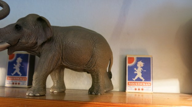 fein und ripp - pike brothers 14