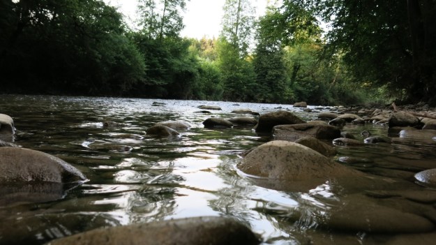 Fly fishing - Feinschmuck 07