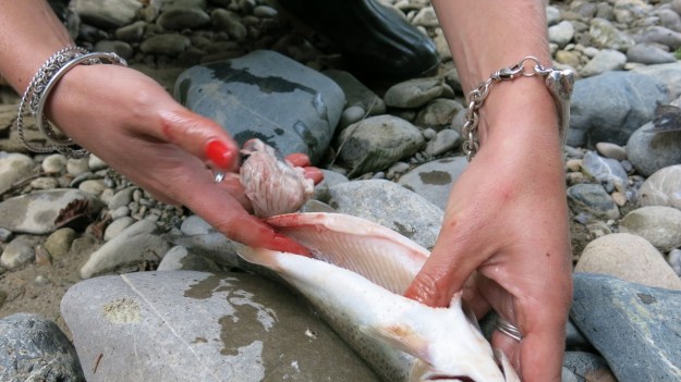 Fly fishing - Feinschmuck 12