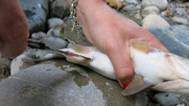 Fly fishing - Feinschmuck 13