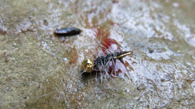 Fly fishing - Feinschmuck 14