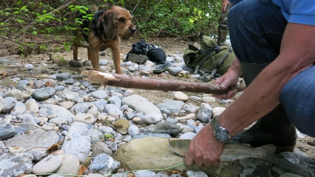 Fly fishing - Feinschmuck 15