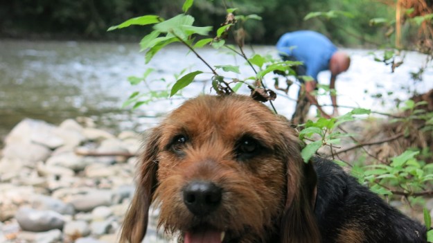 Fly fishing - Feinschmuck 20