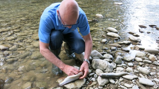 Fly fishing - Feinschmuck 22