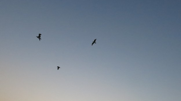 lake of constance fisherman05