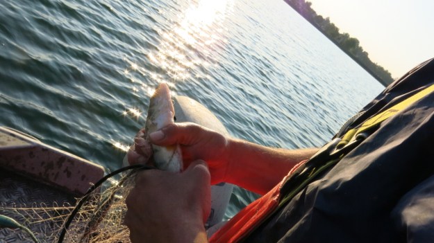 lake of constance fisherman17