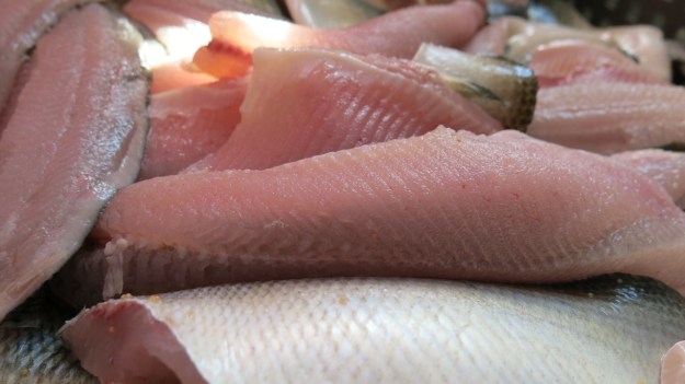 lake of constance fisherman26