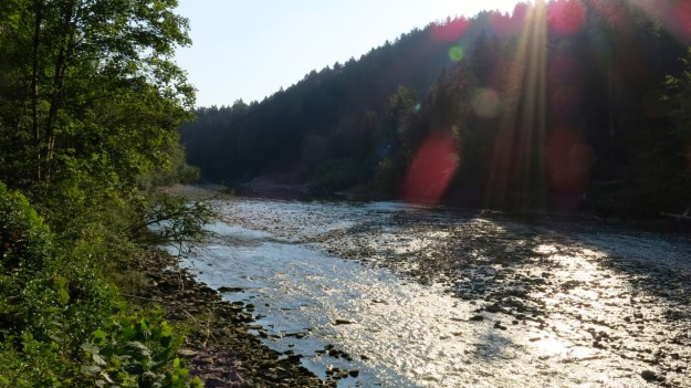 camping trip on the river 03