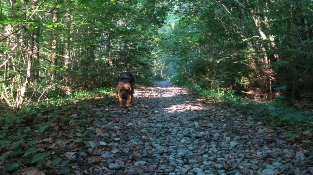 camping trip on the river 04